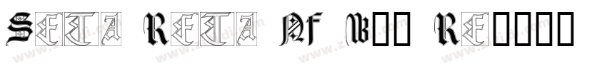 Seta Reta NF W05 Re字体转换